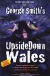 George Smith's UpsideDown Wales (2008)