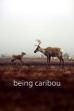 Being Caribou (2005)