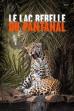 The Pantanal's Rebel Lake (2019)