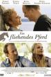 Runaway Horse (2007)