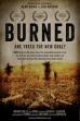 Burned: Are Trees the New Coal? (2021)