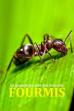 Fabulous Insects - Ants (2025)