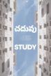Study ()