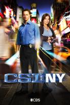 CSI: NY (2004)