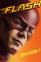 The Flash (2014)