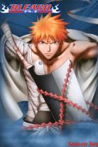 Bleach (2004)