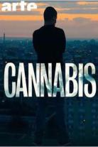 Cannabis (2016)