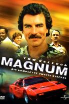 Magnum, P.I. (1980)