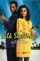 Silk Stalkings (1991)