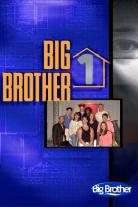 Big Brother (US) (2000)