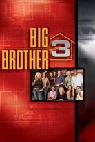 Big Brother (US) (2000)