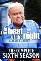 In the Heat of the Night (1988)