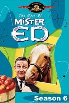 Mister Ed (1961)