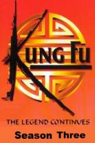 Kung Fu: The Legend Continues (1993)
