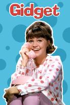 Gidget (1965)