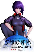 Ghost in the Shell: Stand Alone Complex (1995)