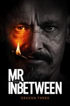 Mr Inbetween (2005)