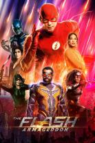 The Flash (2014)
