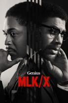 Genius (2017)