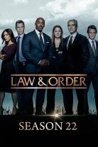 Law & Order (1990)