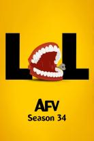 America's Funniest Home Videos (1990)
