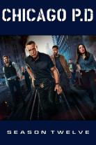 Chicago P.D. (2014)