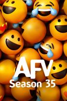 America's Funniest Home Videos (1990)