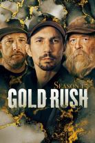Gold Rush (2010)