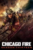 Chicago Fire (2012)