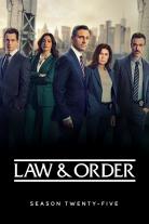 Law & Order (1990)