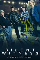 Silent Witness (1996)