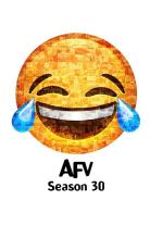 America's Funniest Home Videos (1990)