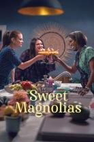 Sweet Magnolias (2020)