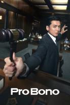 Pro Bono (2025)