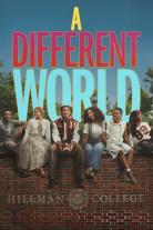 A Different World (2026)