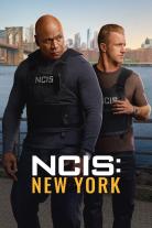 NCIS: New York (2026)