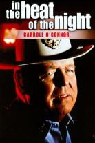 In the Heat of the Night (1988)