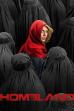 Homeland (2011)