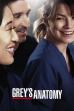 Grey's Anatomy (2005)